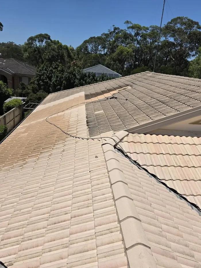 Residential roof tiles showing cleaned area beside darker soiled section